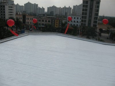 琼海维嘉国际大酒店混凝土楼面加建钢结构  TPO柔性防水屋面   钢结构屋顶加层   客房部